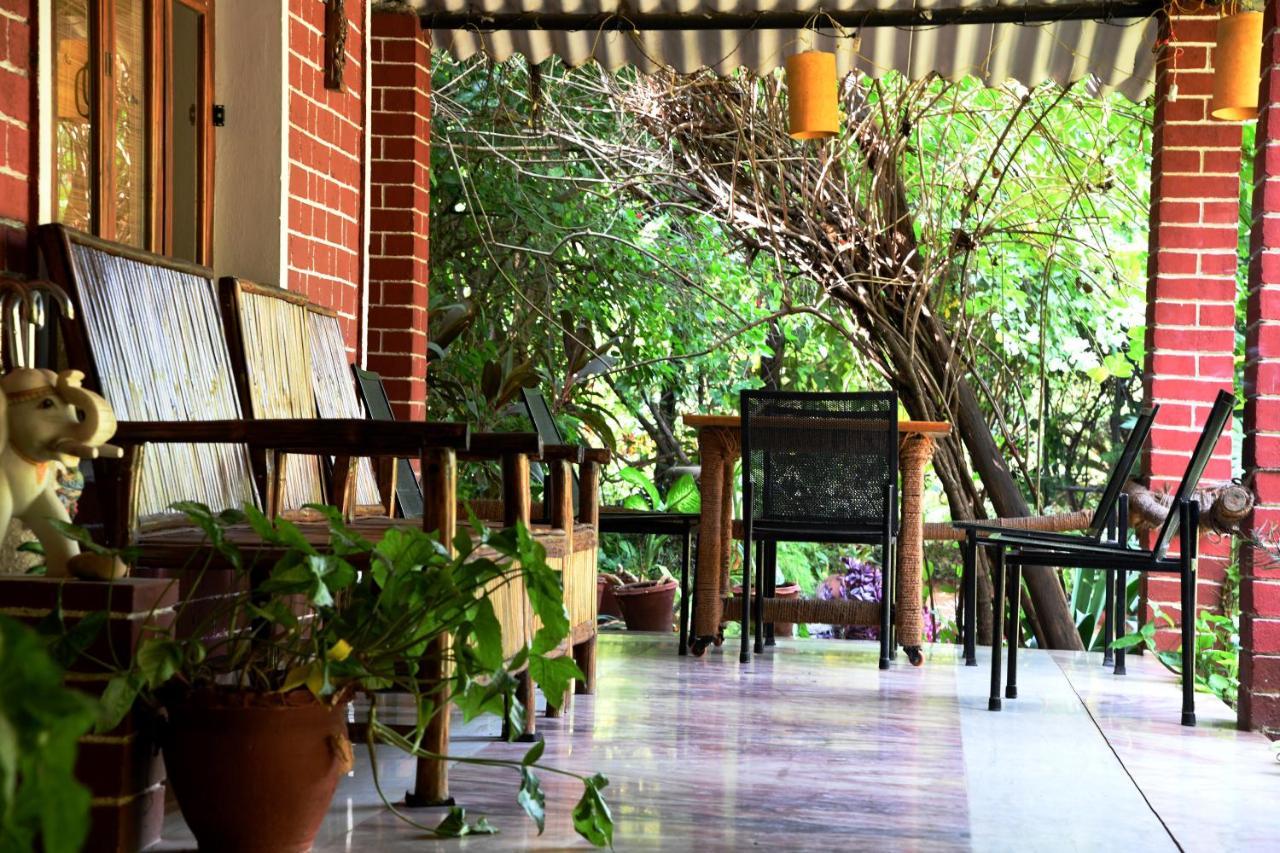 Baaz Jungle Resort Khawasa ภายนอก รูปภาพ