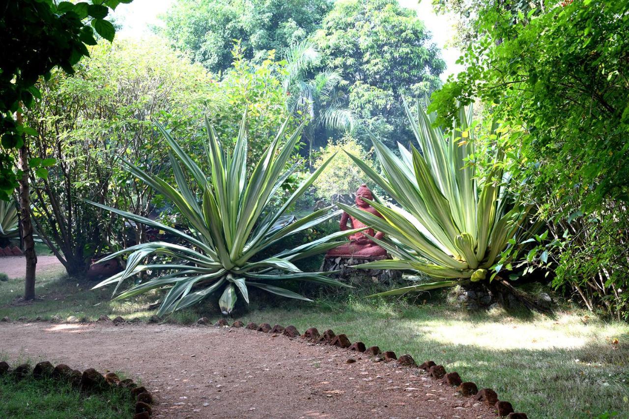 Baaz Jungle Resort Khawasa ภายนอก รูปภาพ