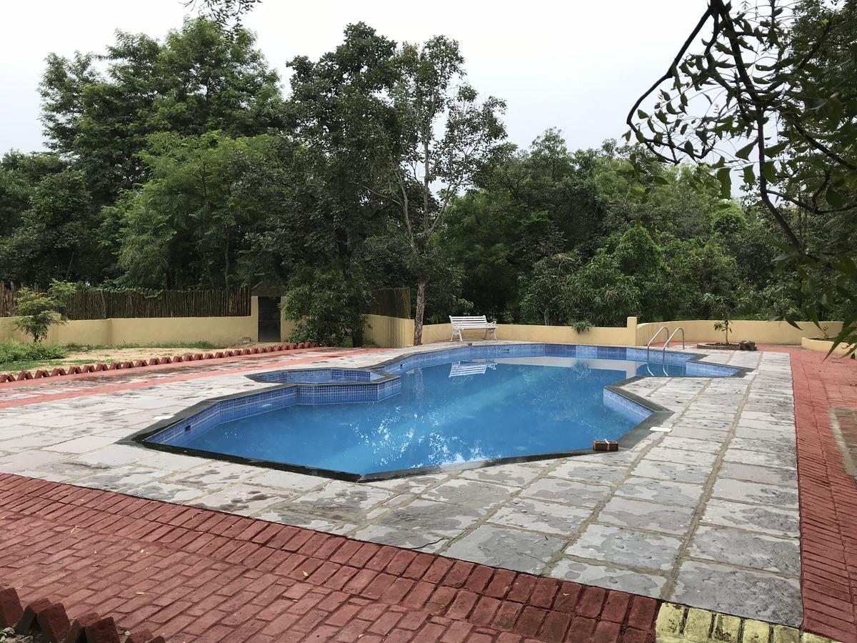 Baaz Jungle Resort Khawasa ภายนอก รูปภาพ