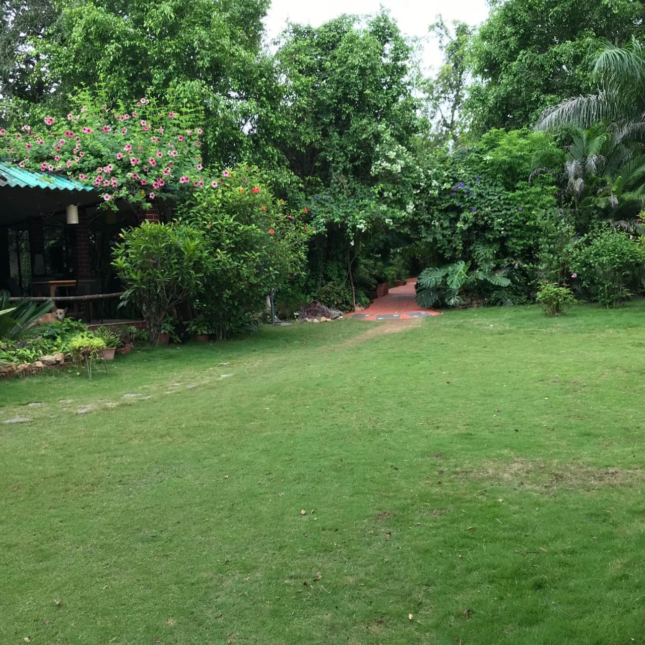 Baaz Jungle Resort Khawasa ภายนอก รูปภาพ