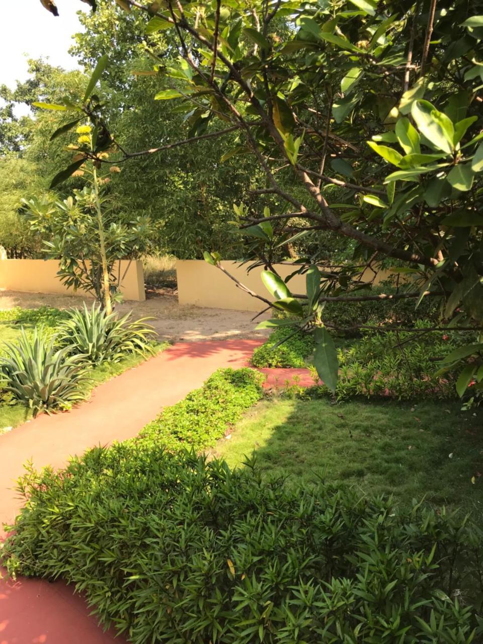 Baaz Jungle Resort Khawasa ภายนอก รูปภาพ